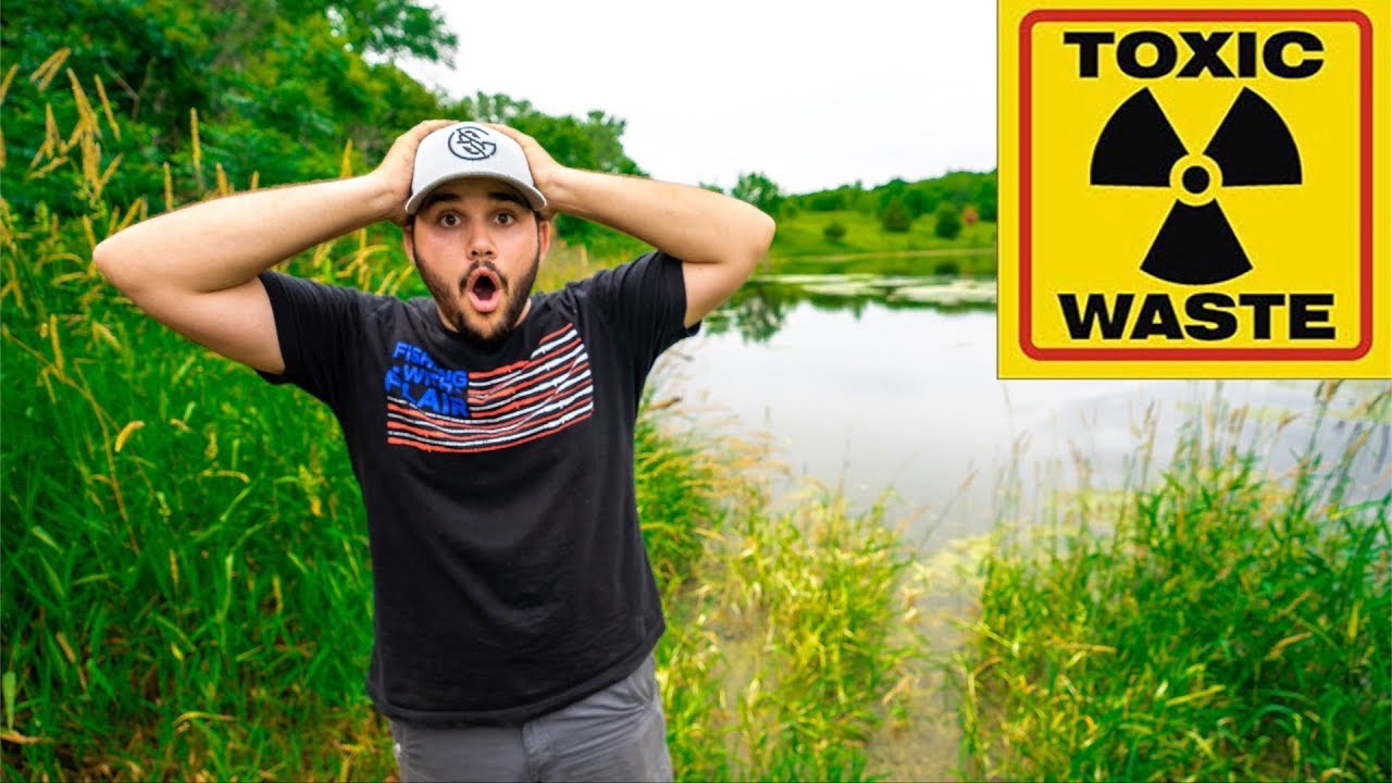 Are ALL the FISH in My Pond DEAD? (Bad News)