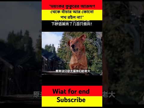 "ভয়ংকর কুকুরের আক্রমণ থেকে বাঁচার আর কোনো পথ রইল না!"