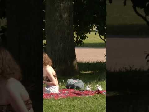 Красотка & щекотка пранк #shorts #memes #funny