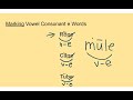 Marking Syllables and Sounds