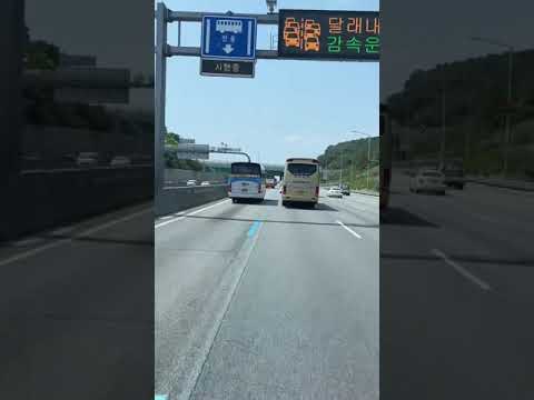 버스가 버스를 평화롭게 추월하는 방법 고속도로 버스전용차선 #shorts