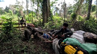 ເຂົ້າປ່າກັບທີມງານພານເຕີ່ງ//เข้าป่ากับทีมงานพรานเตี่ง Dong Una