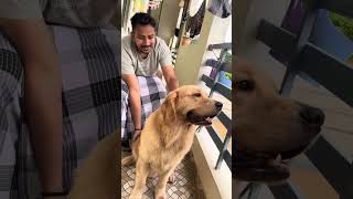 Shake hand challenge with mom and dad 🤣😂 || don’t miss this funny video 🤣😂