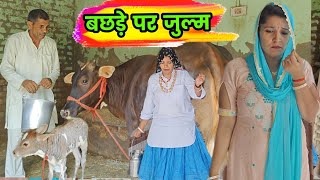 बछड़े पर जुल्म | हरियाणवी नाटक | Sudesh Haryanvi #haryanviNatak