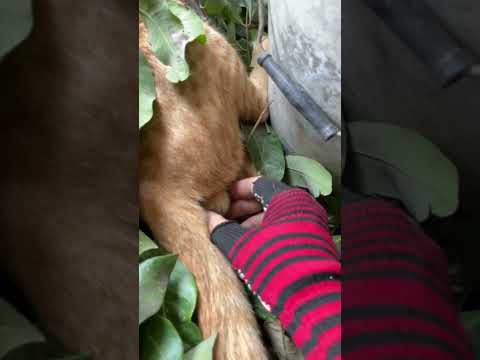 Ơ nhầm tí thôi mà