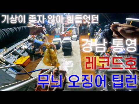 악천후 속에 다녀온 통영 레코드호  본격 무늬 오징어 본 시즌이 <strong>오고</strong> 있습니다.
