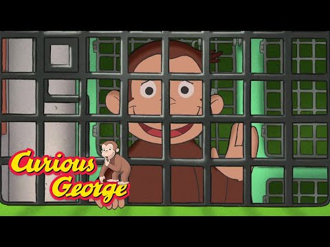 George's Animal Jailbreak 🐵 Full Episodes | Curious George