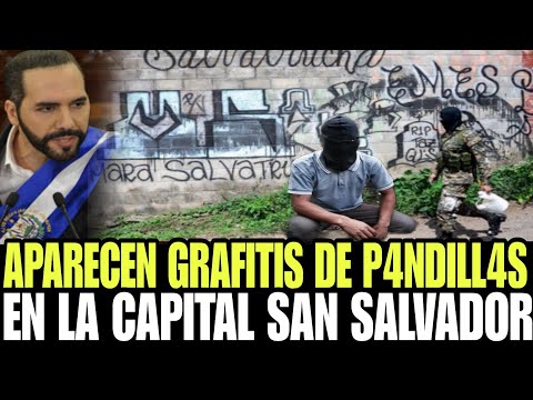 LA CAPITAL AMANECE CON GRAFITIS ALUCIVES ALAS P4ND1LLAS / NO QUITEN EL REGIMEN QUIEREN REGRESAR