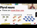 Exploring Singular and Plural Nouns