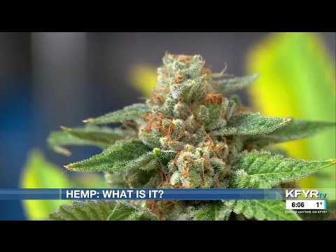 YouTube video thumbnail: Federal Ban Raises Questions About Hemp