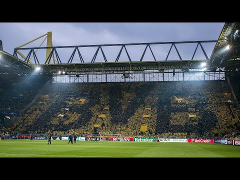 Inside Borussia Dortmund: Passion, History, and the Yellow Wall