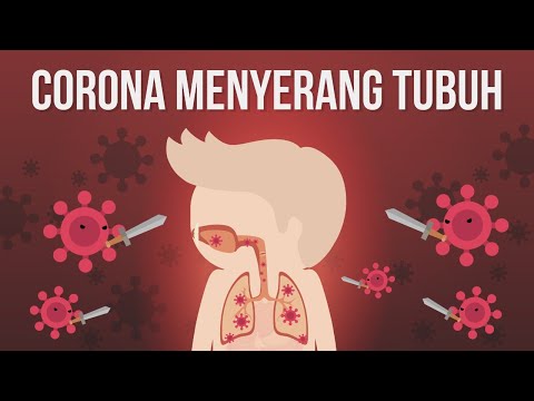 Bagaimana Virus Corona Menyerang Organ Tubuh Kita?