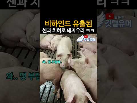 센과 치히로 다시 보러간다 ㅋㅋㅋㅋㅋㅋ