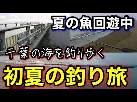 初心者でも楽しめる夏の釣り！ウキ釣り＆ちょい投げ【千葉釣り旅】青物爆釣2025.7編