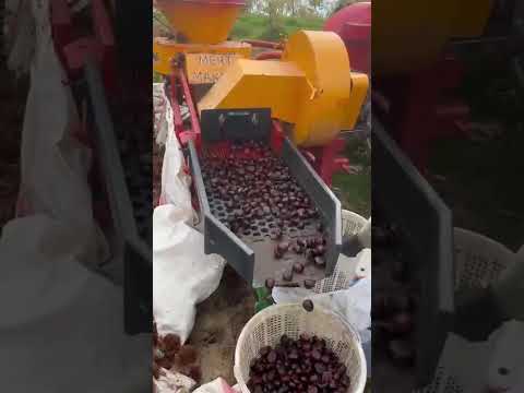 kestane kebap kestane patozu kestane çıkartma kestane makinası şekerci  saru kara  betizac
