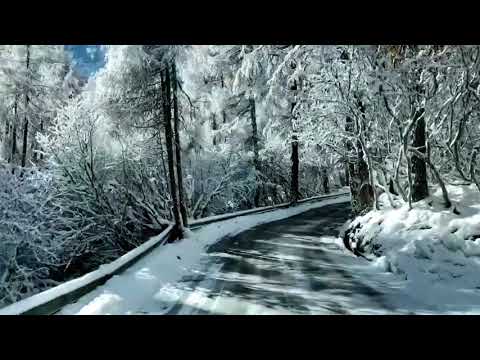 Sichuan Tourism Official Channel