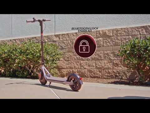 Ninebot D18W Kickscooter, Powered by Segway (Walmart Exclusive)