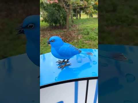 amazing toys đđ #trending