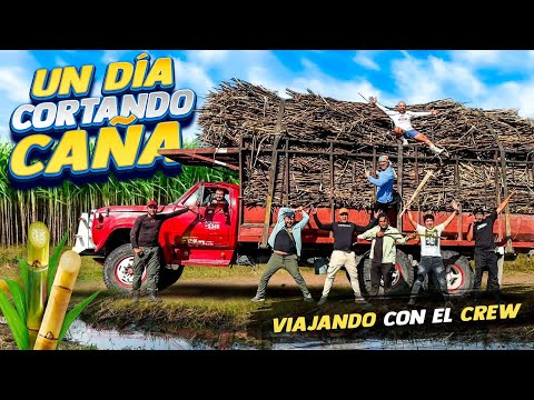 🔥VIAJANDO CON EL CREW UN DIA CORTANDO CAÑA🔥