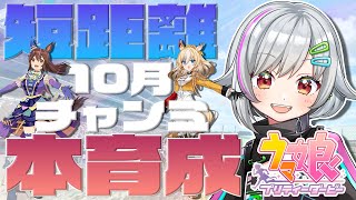 【ウマ娘】朝活🌞本育成しながらまったりおはよう～☀