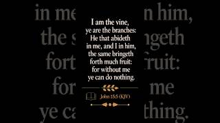 JOHN 15:5 (KJV) 🌿