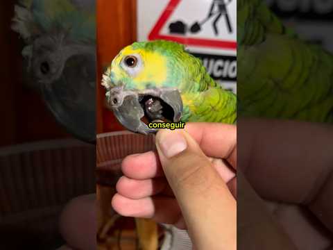 Escapa del tsunami….#shorts