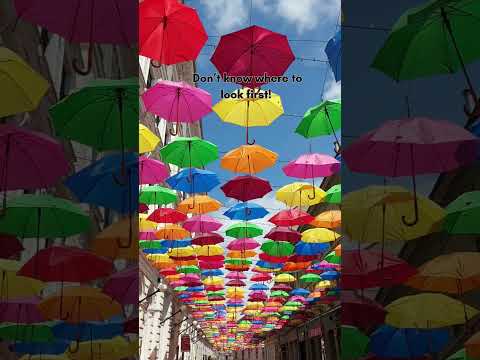 Timișoara Umbrella Street – Romania #travelandhome