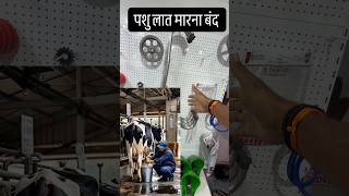 Gaay Lat Maare To Ye Jugad Lagao 😲 | Milking Ab Bilkul Easy!”