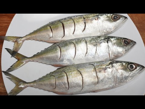 ASLI IKAN KEMBUNG GAK NYANGKA BANGET DIBUAT INI BIKIN SUAMI KETAGIHAN