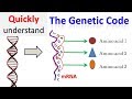 Understanding Genetic Code
