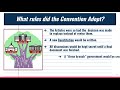 Constitutional Convention Key Issues