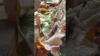 NAPAKASARAP NA LECHON SA BUONG MUNDO