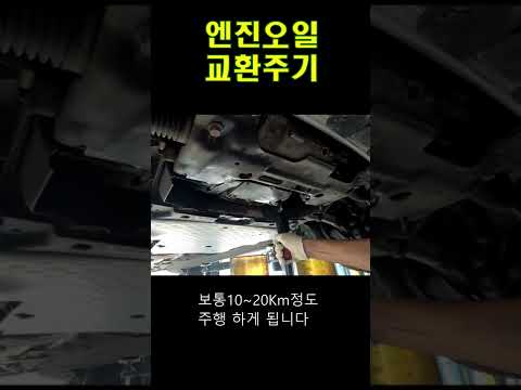 엔진오일 교환주기 이걸로 종결한다!! 개꿀팁!! #Shorts