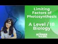 Limiting Factors in Photosynthesis