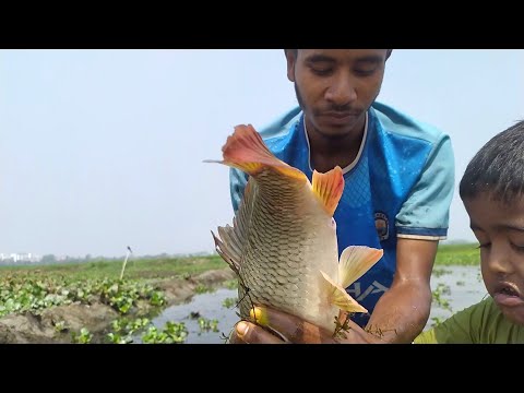 Catch Fish|Traditional Boys Big Fish Hunting By Polo|