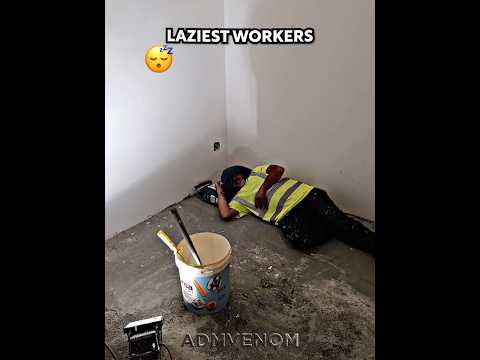 Laziest Workers 😴
