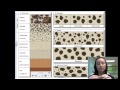 Sediment Classification and Measurement
