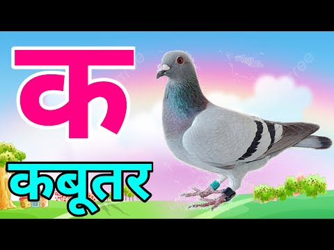 क से कबूतर - Ka Se Kabutar - Hindi Varnmala Songs - Learn Hindi Letter - Kids Songs With Pictures