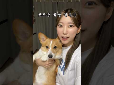 먹는 클레이가 있다고?!✨코코 만들어 먹기🐶