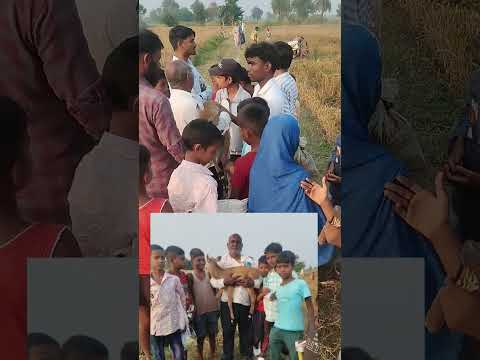 #song #bhojpuri #music