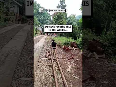 Rollercoaster in the forest ๐คฉ๐ณ๐ข ๐ฅ: Viralhog