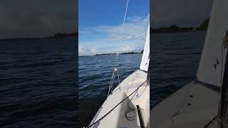 Segel auf der Schlei