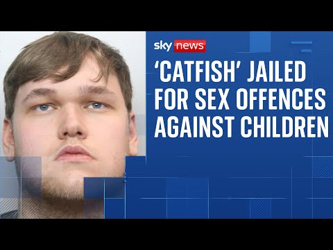 'Catfish' who posed as teenager jailed for sex offences against dozens of children