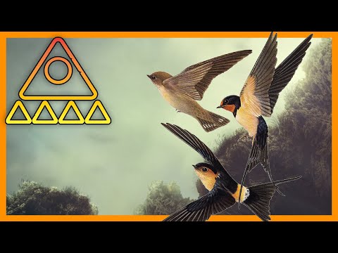 The Tongue Cut Sparrow: A Traditional Japanese Folk Tale