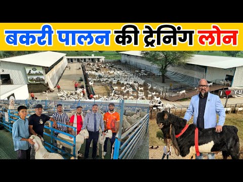 भारत के सबसे बड़े बकरी फार्म से ट्रेनिंग लेने का मौका | Yuvaan Agro Goat Farm
