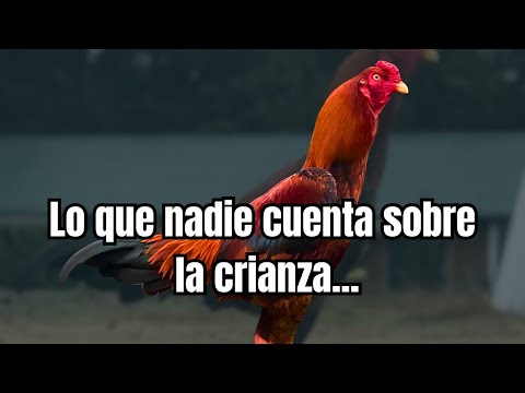 La verdad sobre la crianza selectiva que pocos se atreven a compartir