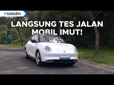 Akhirnya Mobil Ini Dijual Di Indonesia! Yang Suka Mobil Lucu GWM Ora 03 Jawabannya! | Moladin