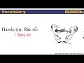 Understanding 'Acaso'
