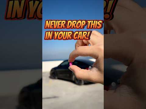 Strange Noise Coming from the Tesla’s Air Vent! 😱