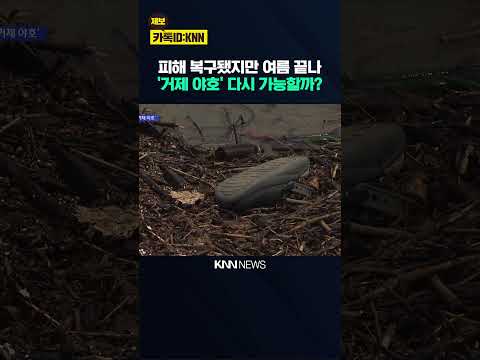 "손님 절반 줄었다" 거제관광, 재기 '안간힘' / KNN